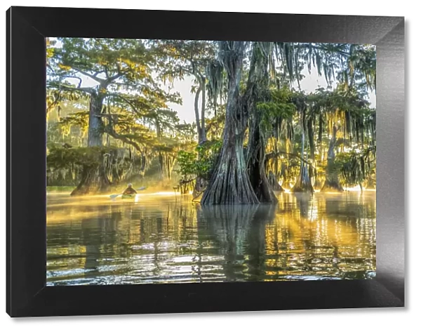 USA, Louisiana, Lake Fausse Pointe State Park is located in Iberia Parish, Louisiana and St