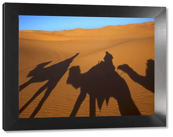 Shadows Of Camels And Riders In The Desert, Merzouga, Morocco, North Africa