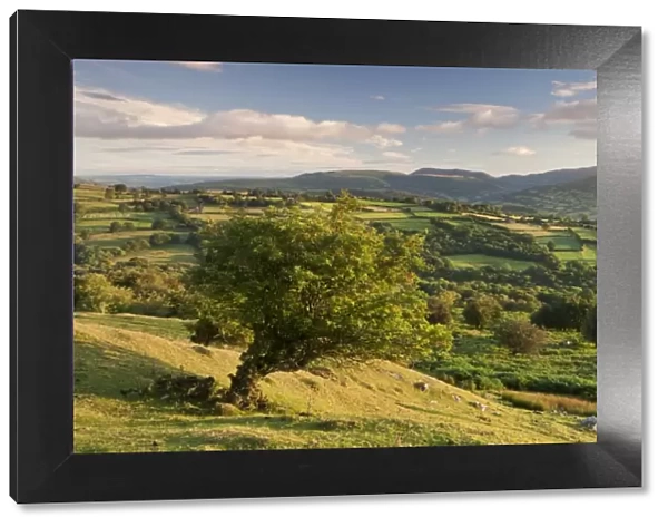 Rolling countryside of the Brecon Beacons near Crickhowell, South Wales