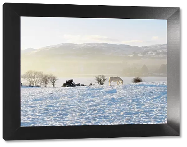 Ireland, Co. Donegal, Milford, snow covered landscape