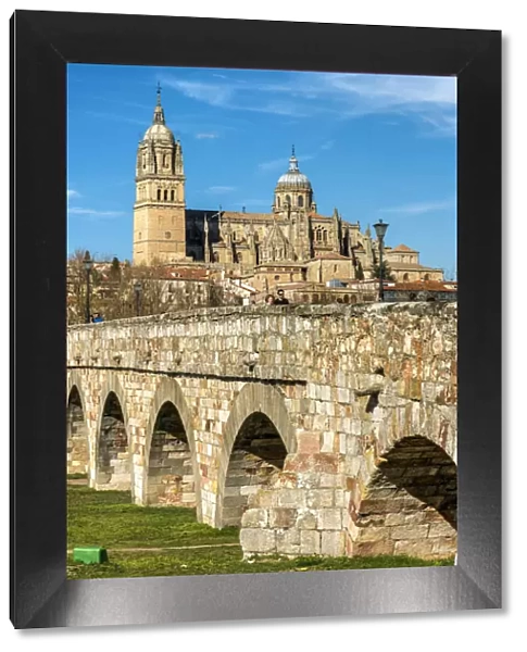 Roman bridge with the Cathedral in the background, Salamanca, Castile and Leon, Spain