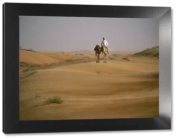 A Bedu rides his camel amongst the sand dunes in the desert