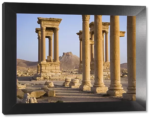 The spectacular ruined city of Palmyra, Syria