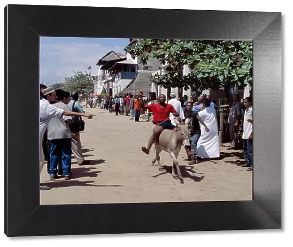 A donkey race is held on Lamu Island as part of the