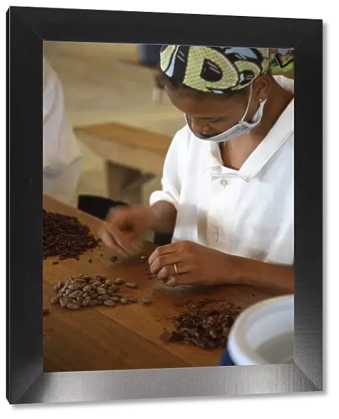 A woman peels the skins away from cocoa beans