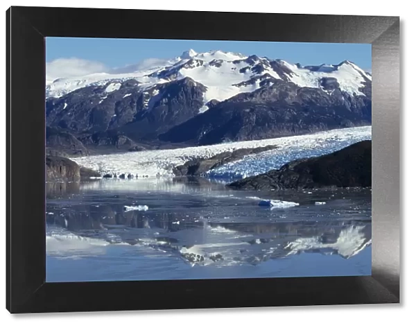 Grey Glacier & Lago Grey