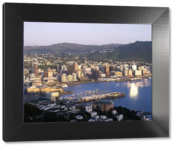 City Skyline & Harbour, Wellington, North Island, New Zealand