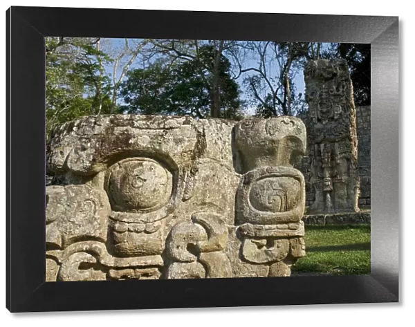 Honduras, Copan, Maya Ruins of Copan, a UNESCO World Heritage Site