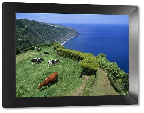 Clifftop view from Ponta da Madrugada on the island of Sao Miguel