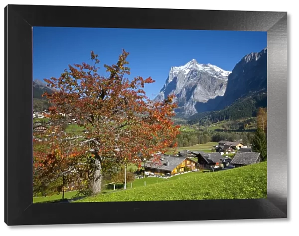 Traditional Houses, Wetterhorn & Grindelwald, Berner Oberland, Switzerland