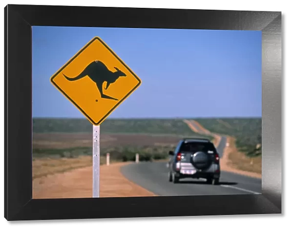 Kangaroo Road Sign, Western Australia, Australia