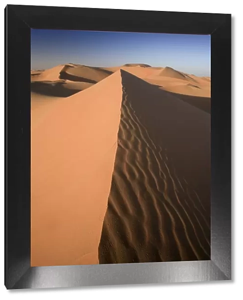 United Arab Emirates, Liwa Oasis, Sand dunes near the Empty Quarter Desert