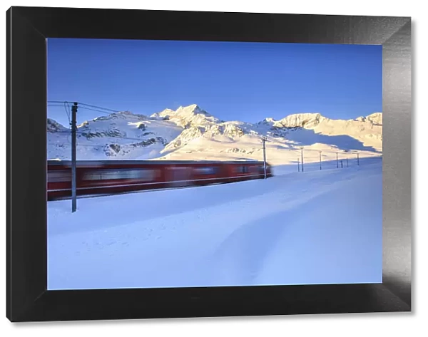 The red train of Bernina whizzes through the snow at the Bernina pass at dawn. Engadine