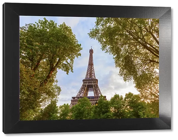 France, Paris, Eiffel Tower framed by trees