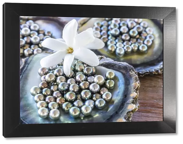 Famous black pearls of Tahiti, Rangiroa atoll, French Polynesia
