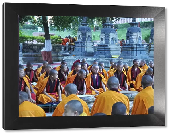 Tibetan monks in Bodhgaya, praying under the sacred Buddha banyan tree