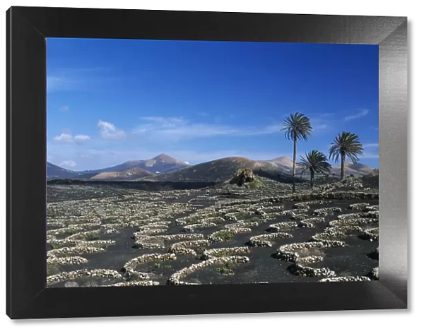 Landscape nearby Uga, Lanzarote, Canary Islands, Spain