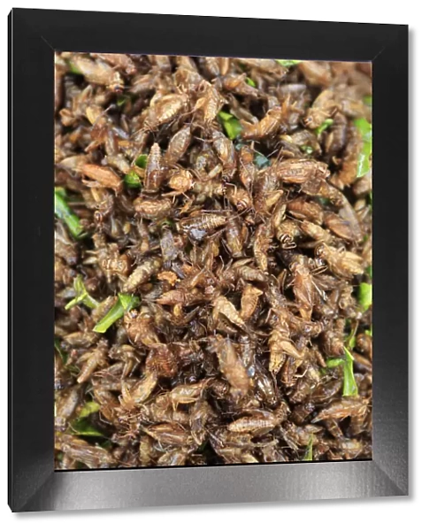 South East Asia, Thailand, food, deep fried ground crickets for sale in a Thai market
