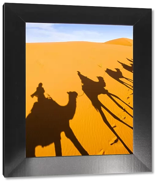 Shadows of riders and camels in Sahara desert, Erg Chebbi, Morocco