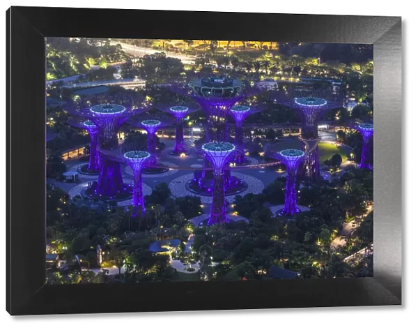 Singapore, elevated view of the Gardens By The Bay, Super Tree Grove, dawn