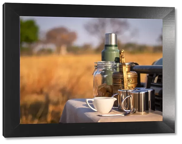 Coffee on safari, Moremi National Park, Okavango Delta, Botswana