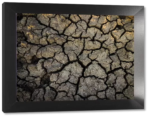 Cracked mud in dry billabong, Bamurru Plains, Northern Territory, Australia
