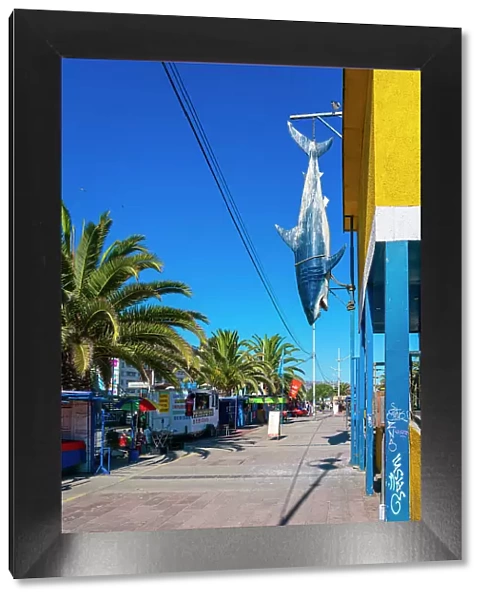 Artificial shark hanging from restaurant on sunny day, Caleta Portales, Valparaiso, Valparaiso Province, Valparaiso Region, Chile