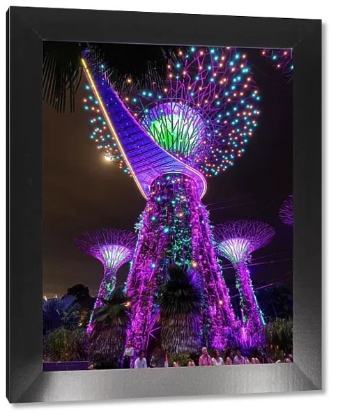 Singapore, Singapore City, Gardens by the Bay, Supertrees, & Marina Bay Sands
