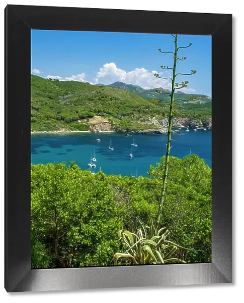 Italy, Tuscany, Elba. The view of the bay of Margidore near to Lacona seen from the footpath that leads to Capo Stella