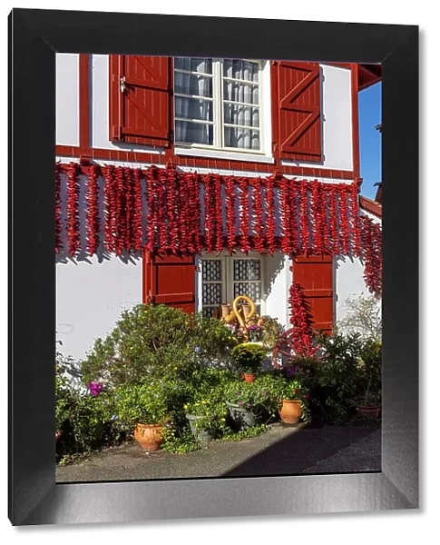 Red chillis hang up in front of a traditional Basque house, Espelette, Province of Labourd, Pyrenees-Atlantiques, Nouvelle Aquitaine, France