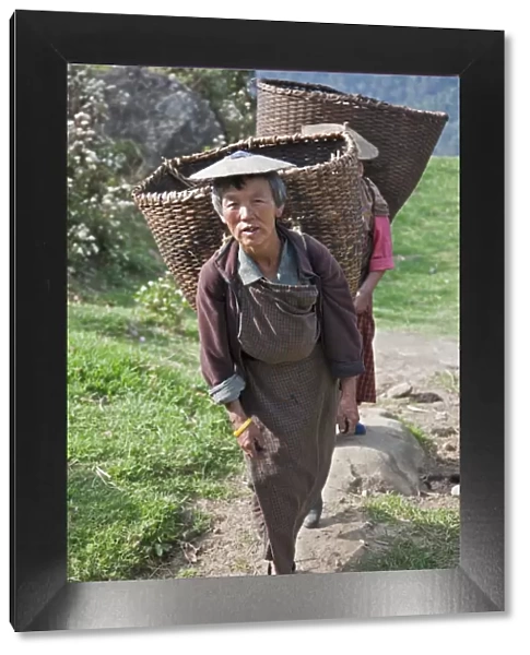 Women with large bamboo baskets go to collect produce from their hillside farms in the Mangde Chhu Valley