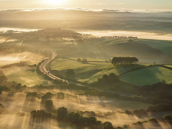 Aerial view of Cookworthy Knapp (Nearly Home Trees) near the A30 on a misty autumn morning, Lifton, Devon, England. Autumn (September) 2023