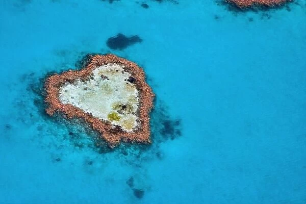 An aerial view of Heart Reef