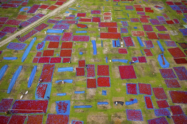 Aerial view of thousands of chilis are laid out to dry creating a patchwork effect
