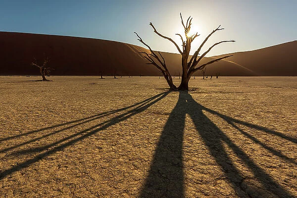 Africa, Namibia. Namib Naukluft National park. Sunrise in the Dead vlei