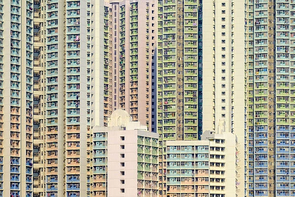 Apartment block towers in Tin Shui Wai, Yuen Long District, New Territories, Hong Kong