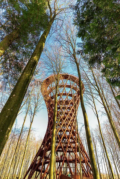 Architectural view of the structure of the forest tower rising high in the wood, in the winter, Zealand, Denmark