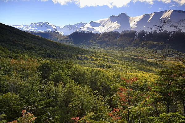 Argentina, Tierra del Fuego, Ushuaia, Tierra del Fuego National Park