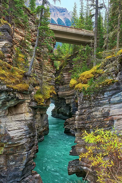 Athabasca River at Athabasca Falls, Canadian Rocky Mountains, Jasper National Park, Alberta, Canada