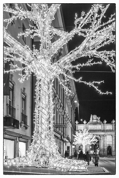 Austria, Tyrol, Innsbruck, Maria-Theresien Strasse, Christmastime decorations