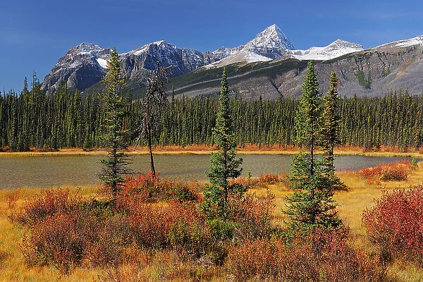 Autumn alongthe Athabasca River on The Icefields Parkway, Jasper National Park, Alberta, Canada