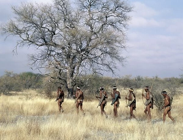 A band of !Kung hunter-gatherers makes a stealthy approach towards an antelope