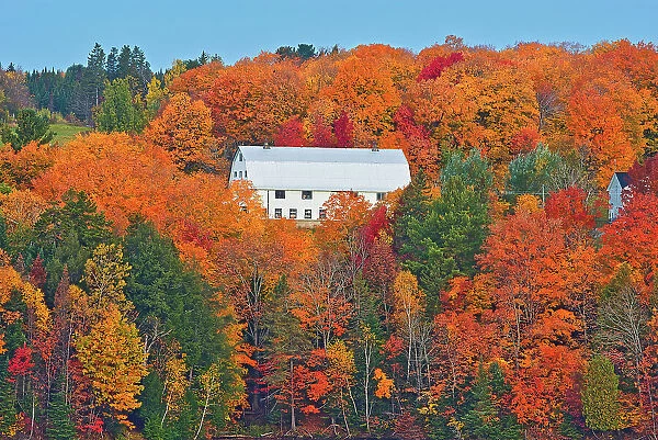 Barn and the Acadian forest in autumn foliage. Rolling hills. Mactaquac, New Brunswick, Canada