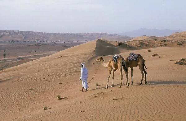 A Bedu leads his camels through the sand dunes in the desert