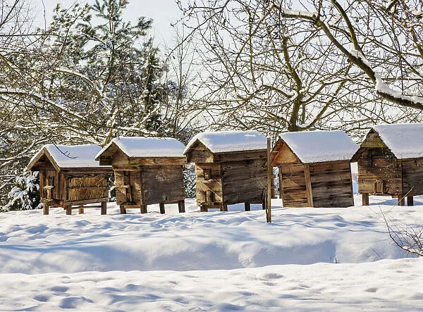 Beehives at Lublin Open Air Museum, winter, Lublin Voivodeship, Poland