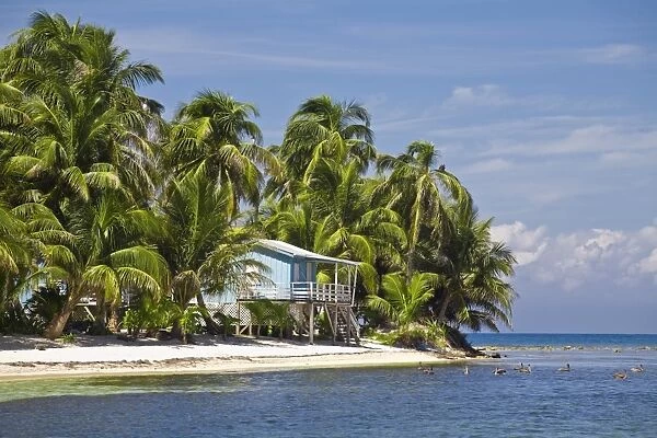 Belize, Ranguana Caye
