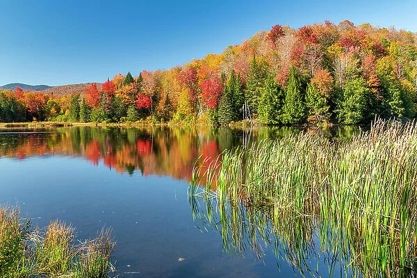 Belvidere Pond in Autumn, Vermont, New England, USA