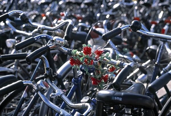 Bikes, Leiden