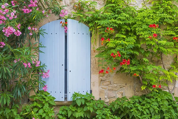 Blue Shutters & Flowers, Venasque, Provence, France