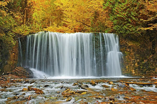 Boyne River at Hoggs Falls in autumn Near Flesherton, Ontario, Canada